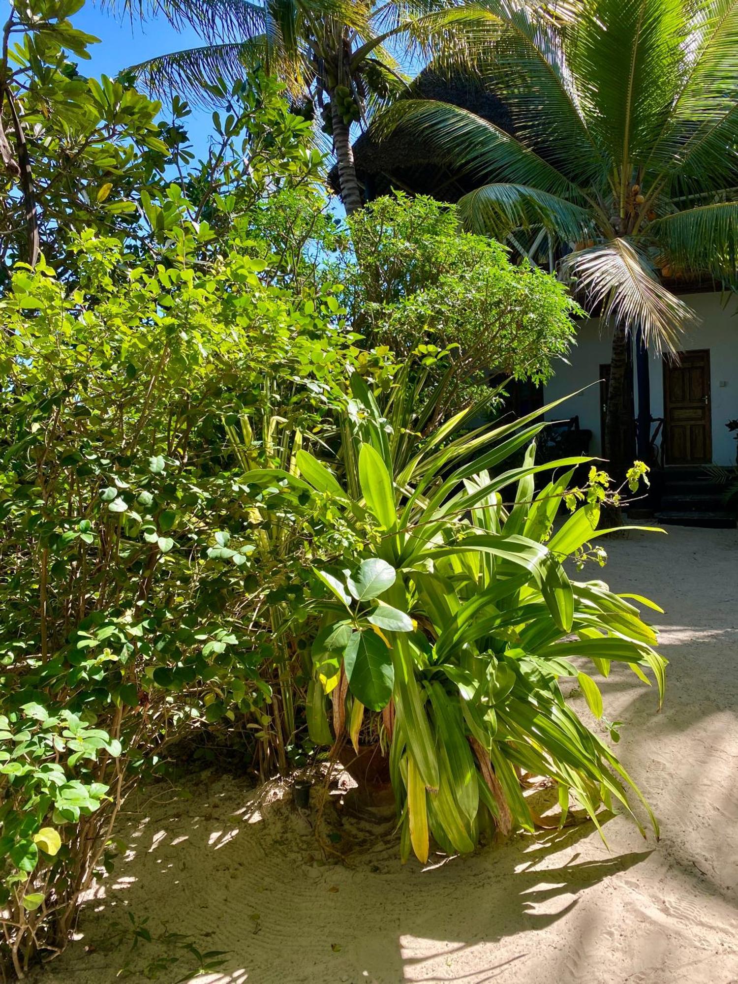 The Seles Boutique Hotel Gazija Exterior foto